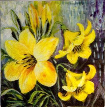 051 Lilies - 3-ply - Ti-Flair